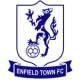 恩菲尔德镇 队徽